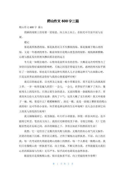 爬山作文600字三篇