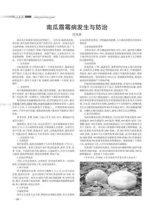南瓜霜霉病发生与防治