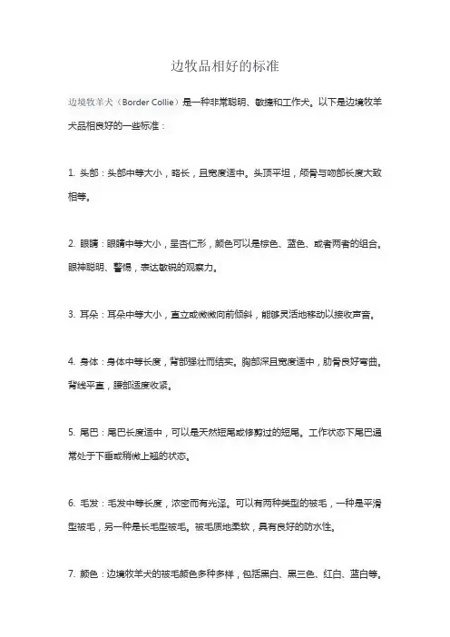 边牧品相好的标准