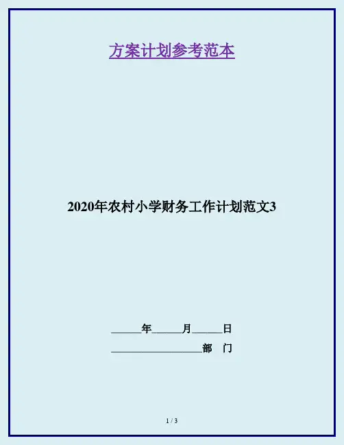 2020年农村小学财务工作计划范文3