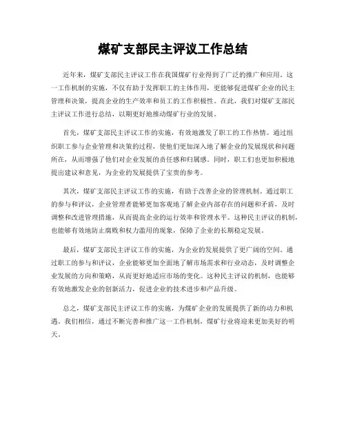 煤矿支部民主评议工作总结