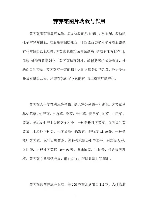荠荠菜图片功效与作用