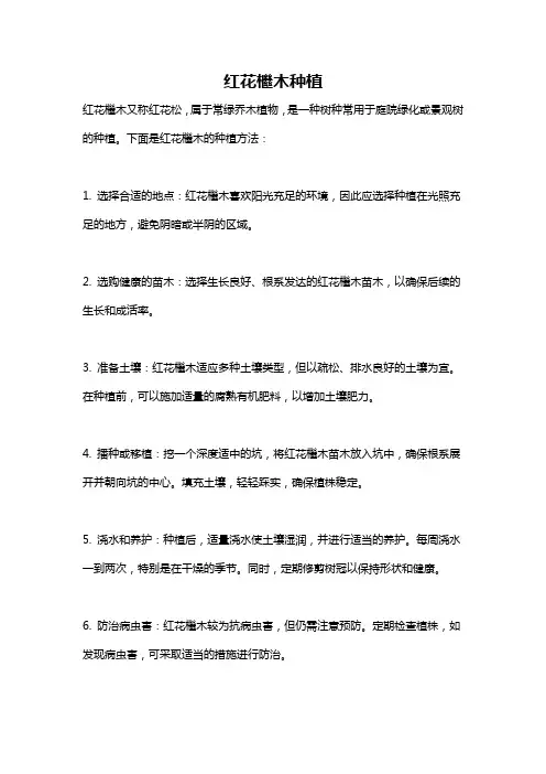 红花檵木种植
