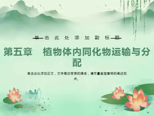 植物体内同化物运输与分配