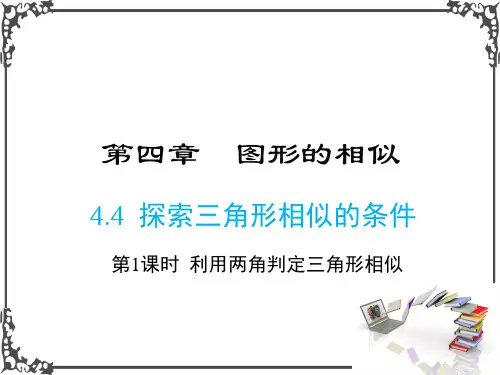 北师版数学九年级上册4 第1课时 利用两角判定三角形相似课件牛老师