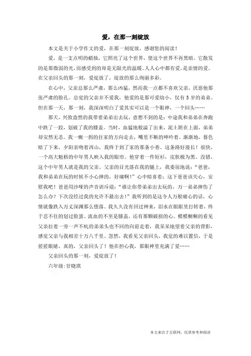 爱,在那一刻绽放_小学作文