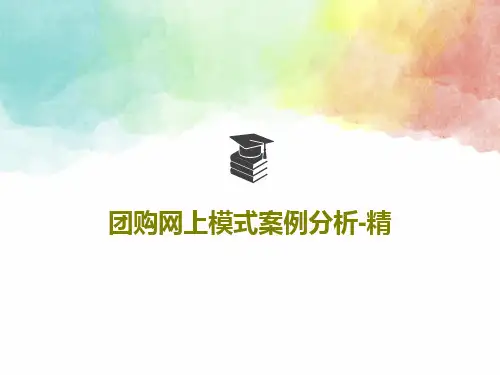 团购网上模式案例分析-精25页PPT