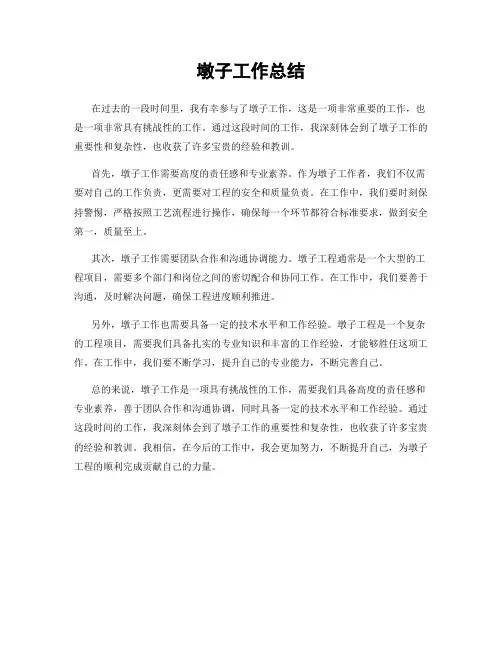 墩子工作总结