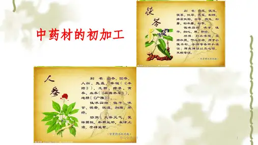 中药材的初加工课件