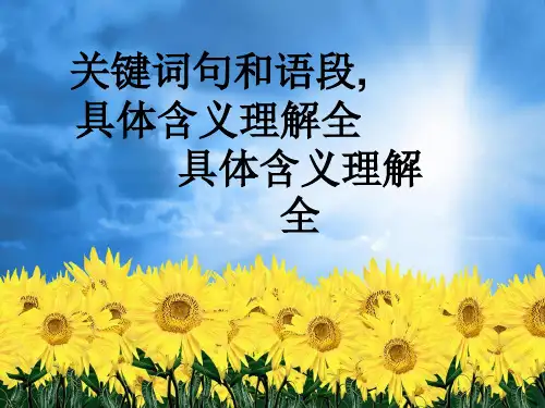 关键词句和语段,具体含义理解全 ppt课件