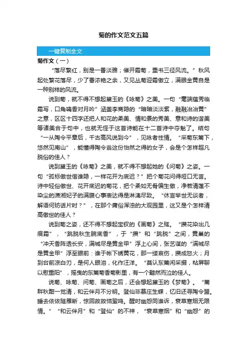 菊的作文范文五篇