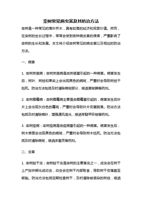 栾树常见病虫害及其防治方法