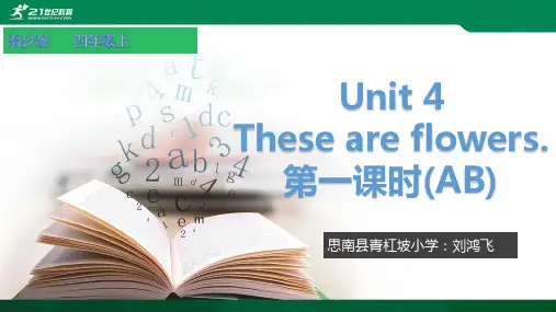 Unit 4 These are flowers (1) 课件