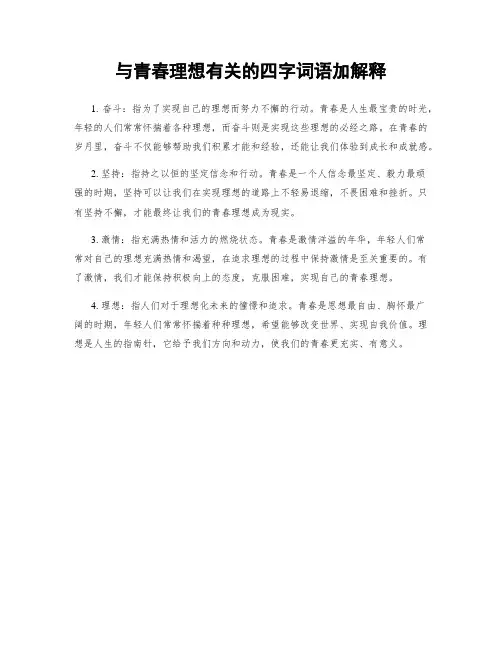与青春理想有关的四字词语加解释