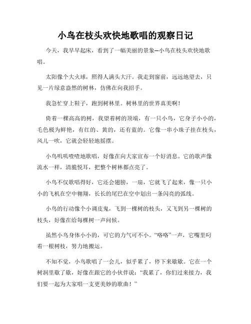 小学三年级作文小鸟在枝头欢快地歌唱的观察日记