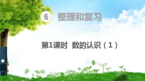 人教版六年级下册数学数与代数 数的认识(1)课件