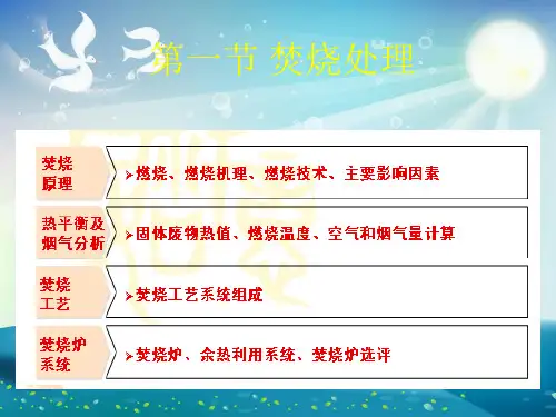 固体废物的焚烧处理