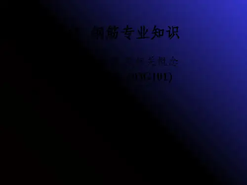 梁柱板钢筋平法标注图解(免费的土建技术员入门指导)