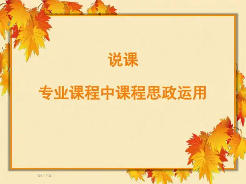 说课-专业课程中课程思政运用 PPT