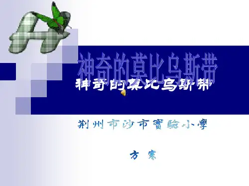 神奇的莫比乌斯带PPT