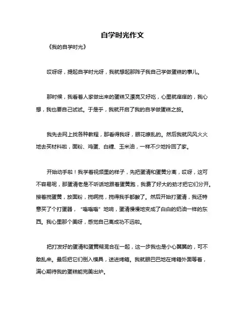自学时光作文