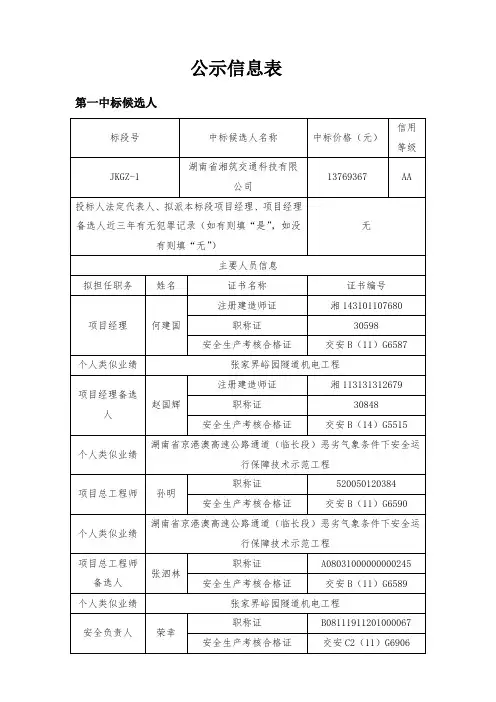 公示信息表