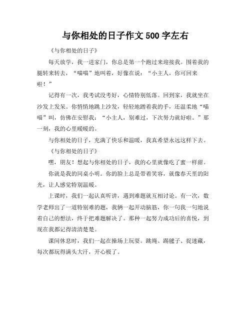 与你相处的日子作文500字左右