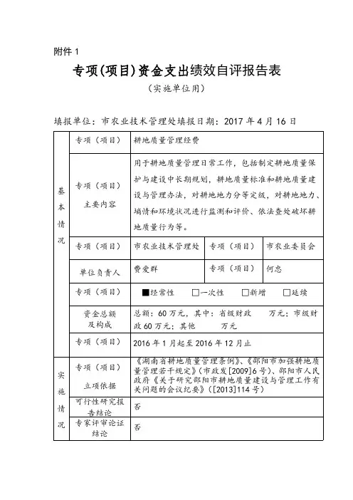 专项(项目)资金支出绩效自评报告表