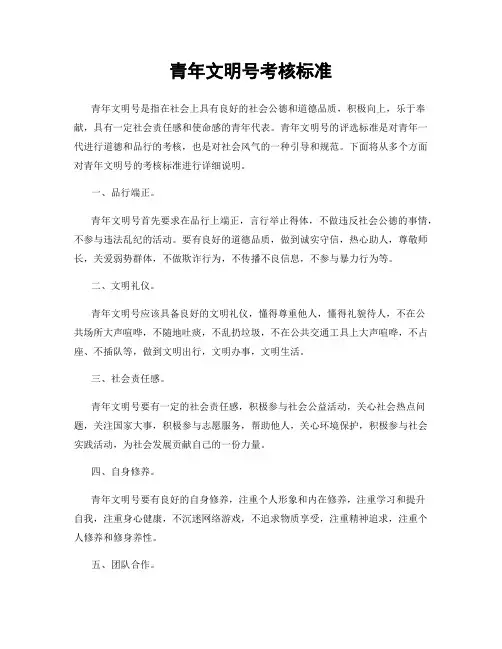 青年文明号考核标准