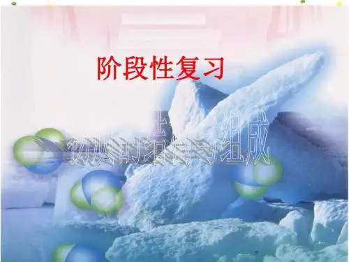 【初中化学】物质的结构与组成复习PPT课件 鲁教版