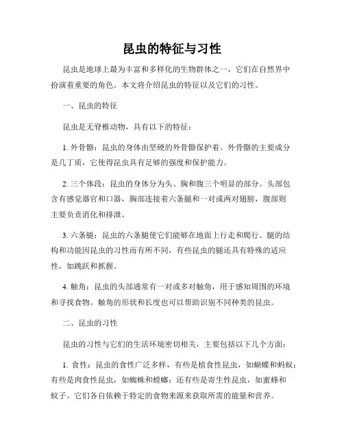 昆虫的特征与习性