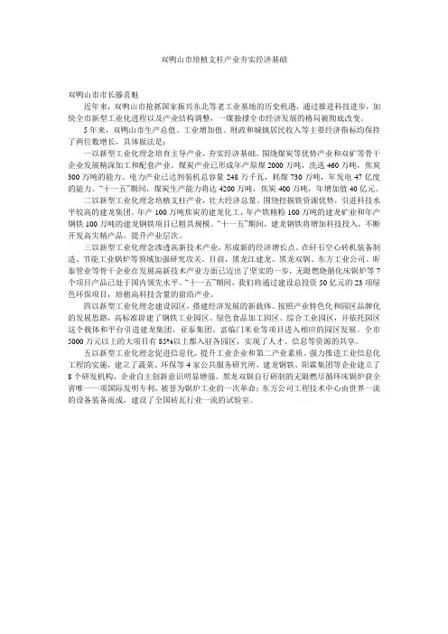 双鸭山市培植支柱产业夯实经济基础