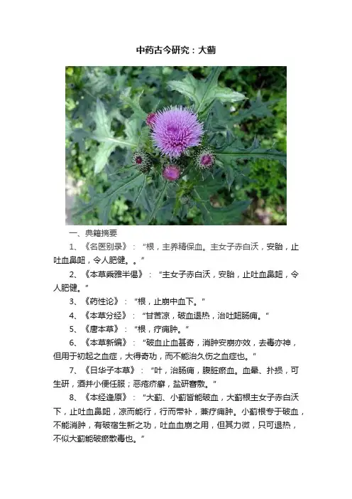 中药古今研究：大蓟
