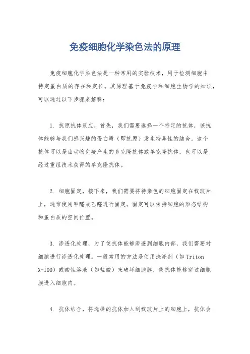 免疫细胞化学染色法的原理