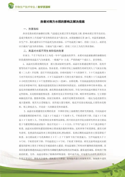 热害对南方水稻的影响及解决措施