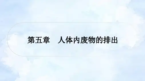 人教版中考生物复习七年级下册第四单元第五章人体内废物的排出课件