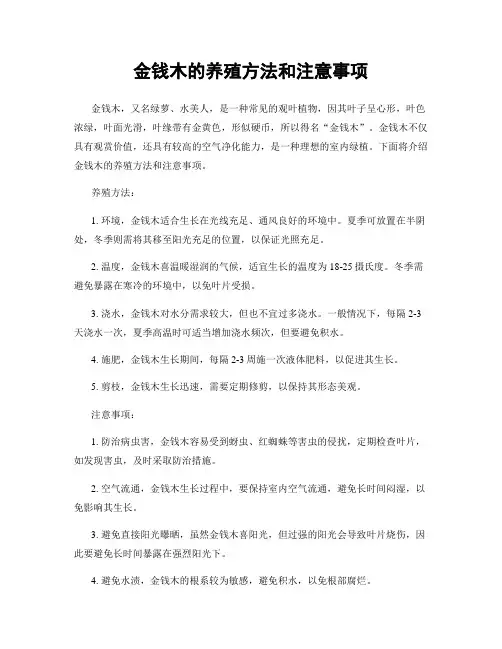 金钱木的养殖方法和注意事项