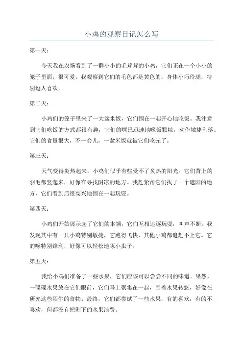 小鸡的观察日记怎么写
