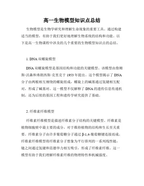 高一生物模型知识点总结