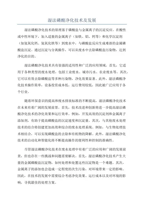 湿法磷酸净化技术及发展