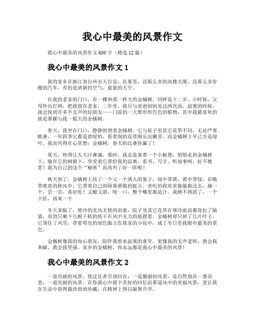 我心中最美的风景作文