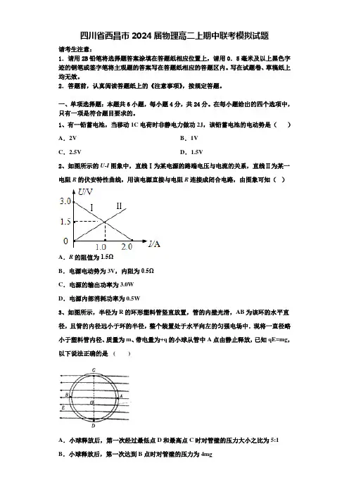 四川省西昌市2024届物理高二上期中联考模拟试题含解析