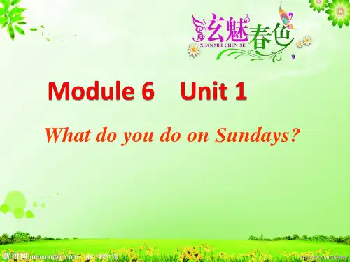 三年级下册英语课件-Module6Unit1 what do you do on sundays 外研版 (共28张PPT)