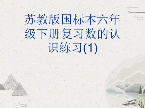 苏教版国标本六年级下册复习数的认识练习(1)