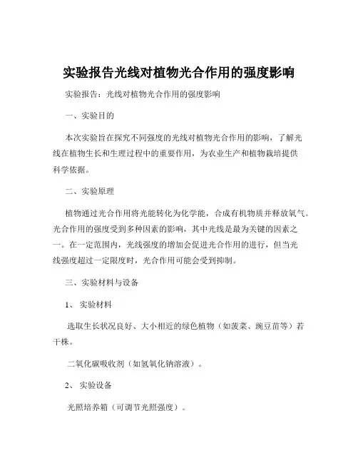 实验报告光线对植物光合作用的强度影响