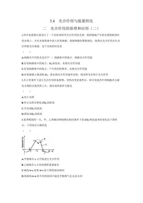 2020年高中生物新人教版(2019)必修第1册 5.4 光合作用与能量转化  第2课时(二)