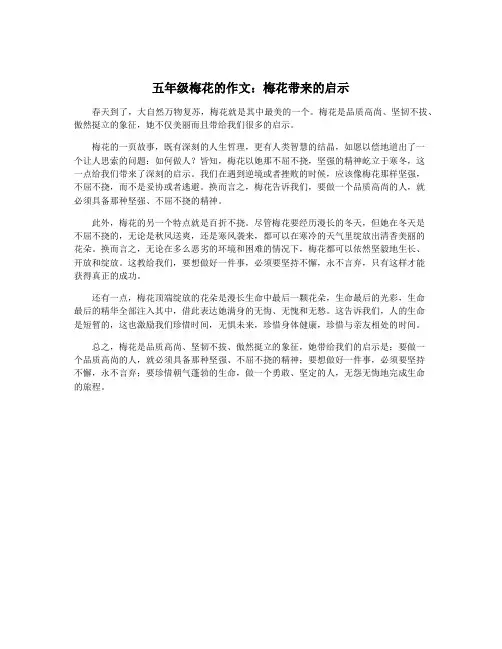 五年级梅花的作文：梅花带来的启示