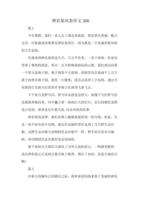 神农架风景作文300