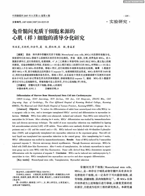 兔骨髓间充质干细胞来源的心肌(样)细胞的诱导分化研究