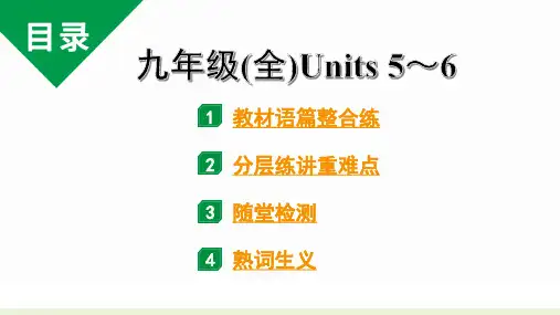 中考英语复习  九年级(全)  Units 5~6